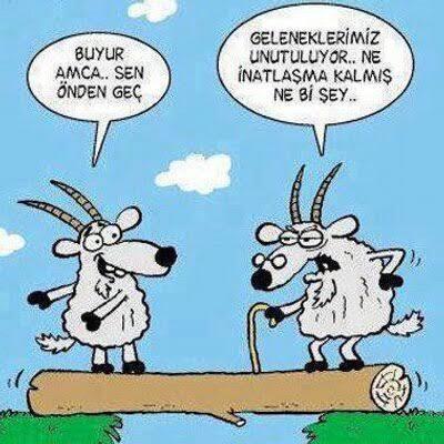 İnadınızı ne kırabilir?