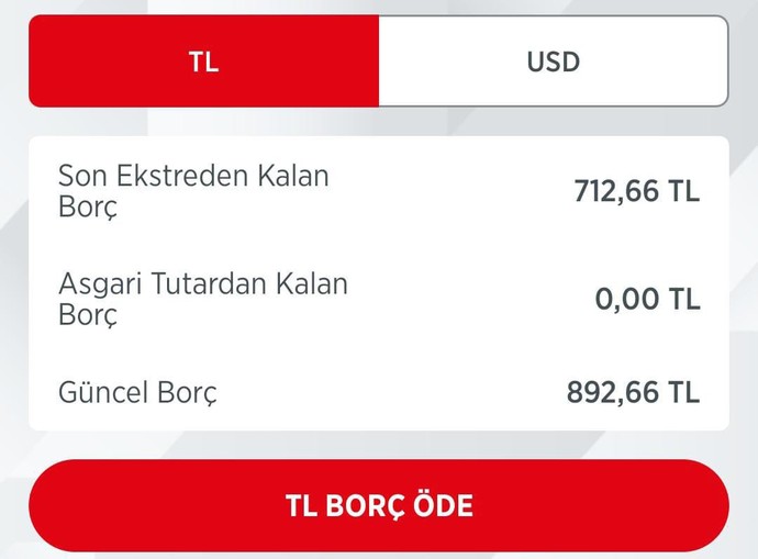 Arkadaşlar şu an ne kadar borcum var üstte başka bir şey altta başka bir şey var?