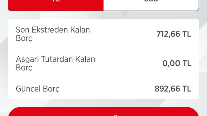 Arkadaşlar şu an ne kadar borcum var üstte başka bir şey altta başka bir şey var?