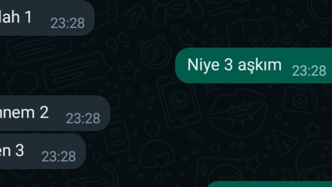 Bu erkeğin anneci olduğunu gösterir mi?