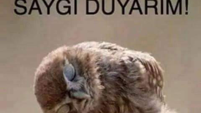 Saygı duyduğunuz/duymadığınız neler var?