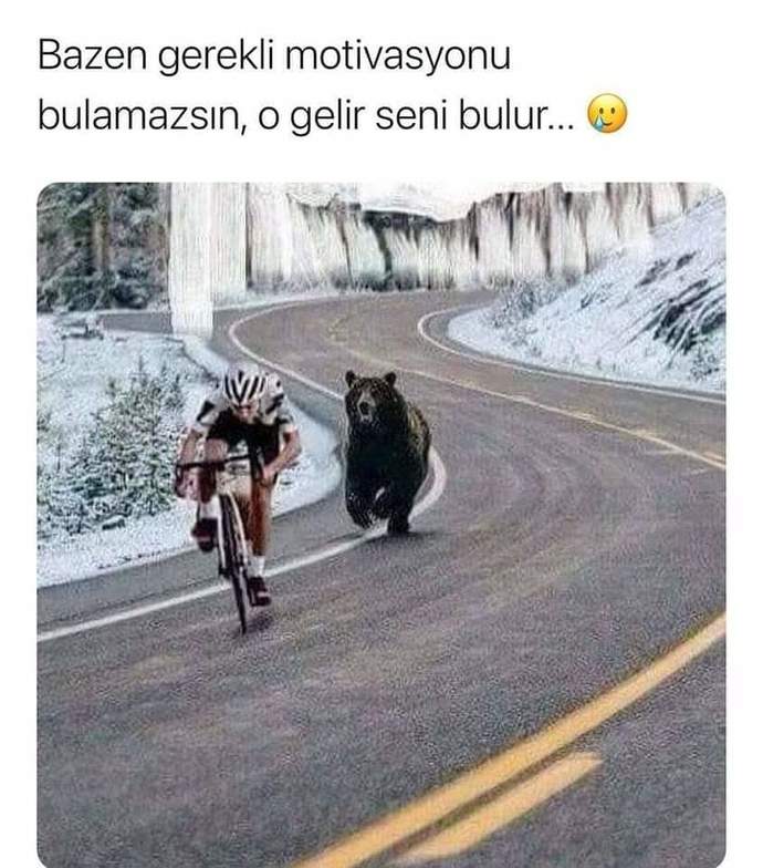 Hayatta gerekli olan motivasyonu nasıl buluyorsunuz?