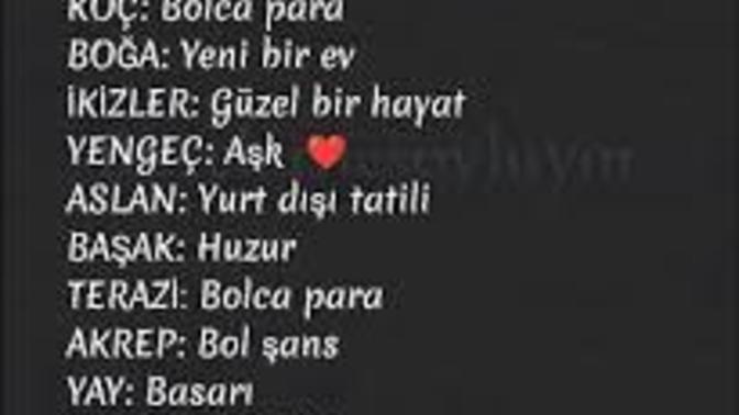 Burçların 2024 dilekleri nelerdir?