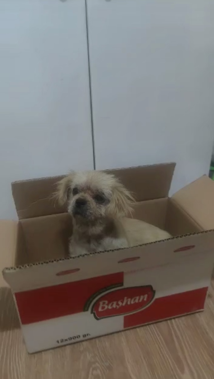 Böyle bir şey geldi, bu ne?