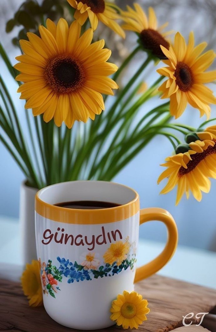 Herkese günaydın, sabah siniri var mı?