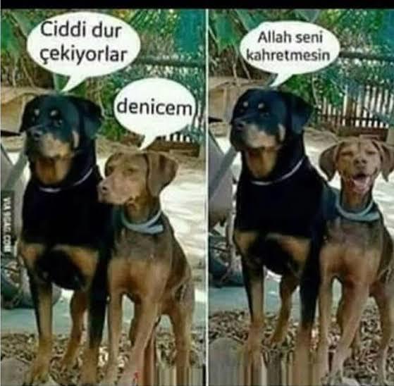 Ciddi ilişki insanı mısınız?