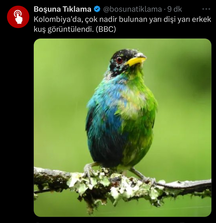 Kafamda deli sorular
