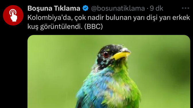 Böyle bir şey olabilir mi ya?