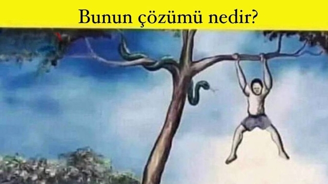 Nasıl hayatta kalırsınız (zeka bulmacası) ?