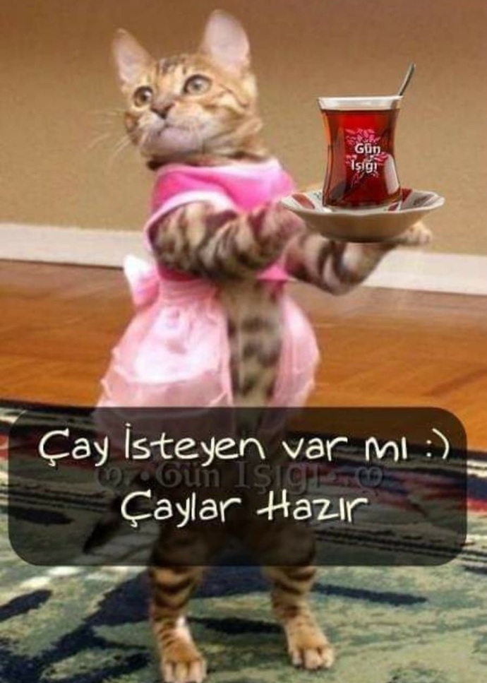 Çaylar hazır 🫖 Çay isteyen var mı?