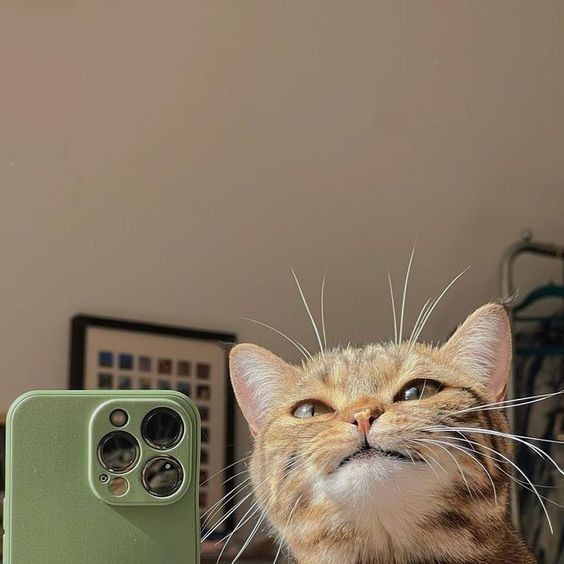 Şuanki modunuza 10 üzerinden kaç verirsiniz🌻?