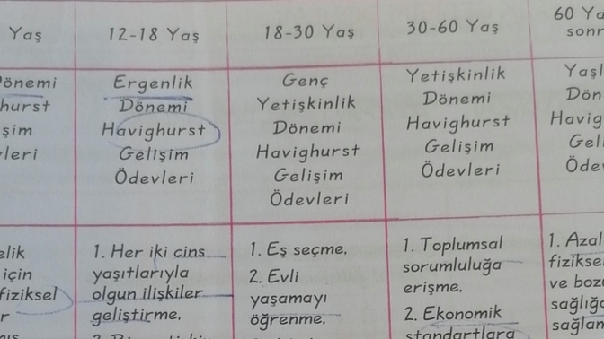 Hala 4 yılım var. 8 madde?
