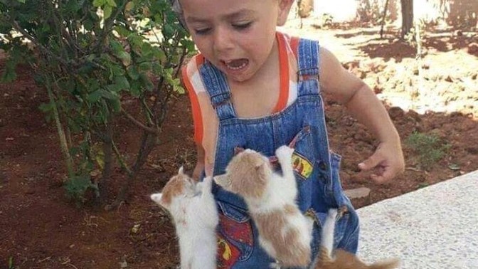 Küçükken sokaktan yavru kedilerin birini kapıp eve getirirmiydiniz?