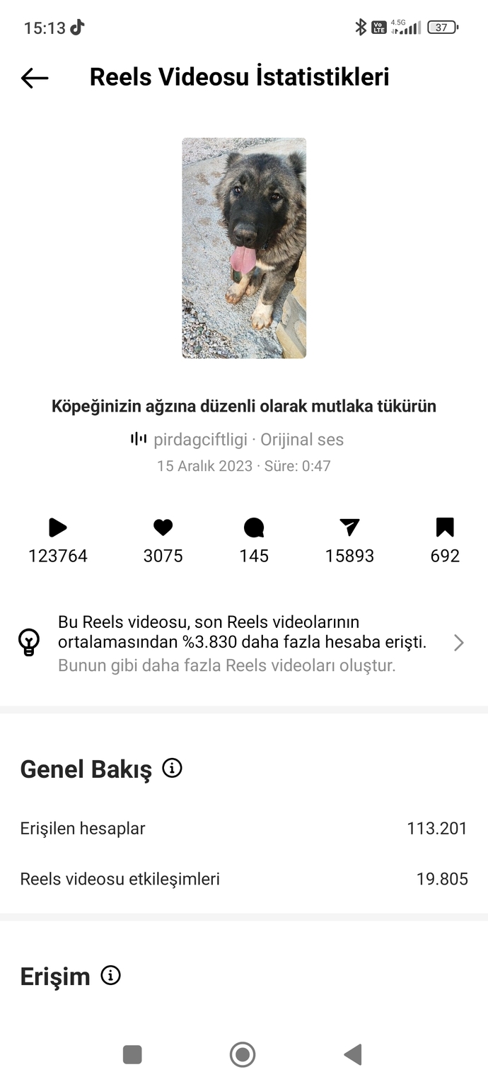 İstemeden İnstagram Fenomeni mi Oldum. İnstadan Anlayanlar bakabilir mi?