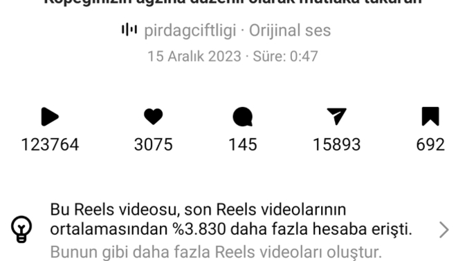 İstemeden İnstagram Fenomeni mi Oldum. İnstadan Anlayanlar bakabilir mi?