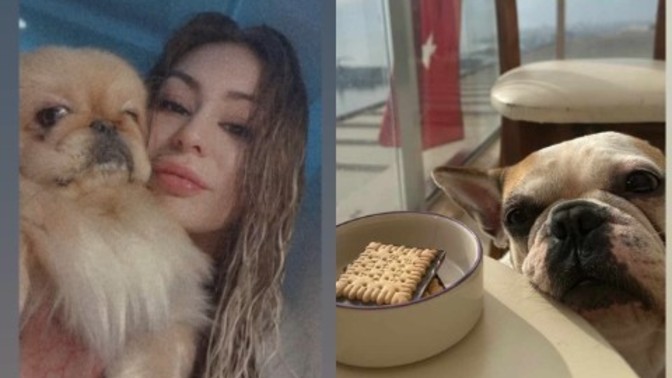 Eve gittiğinizde sizi ilk kim karşılıyor?