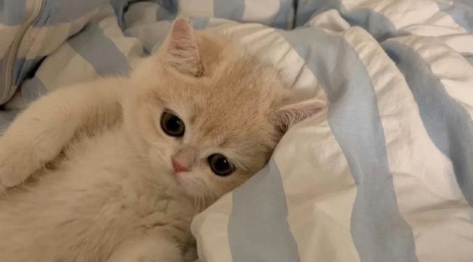 İnsanlara gereğinden fazla kıymet veriyor musunuz🥀?