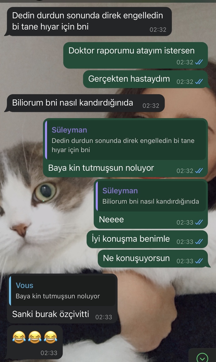 Şu konuşmalara bakın, flörtümden çok soğudum. Siz ne düşünüyorsunuz?