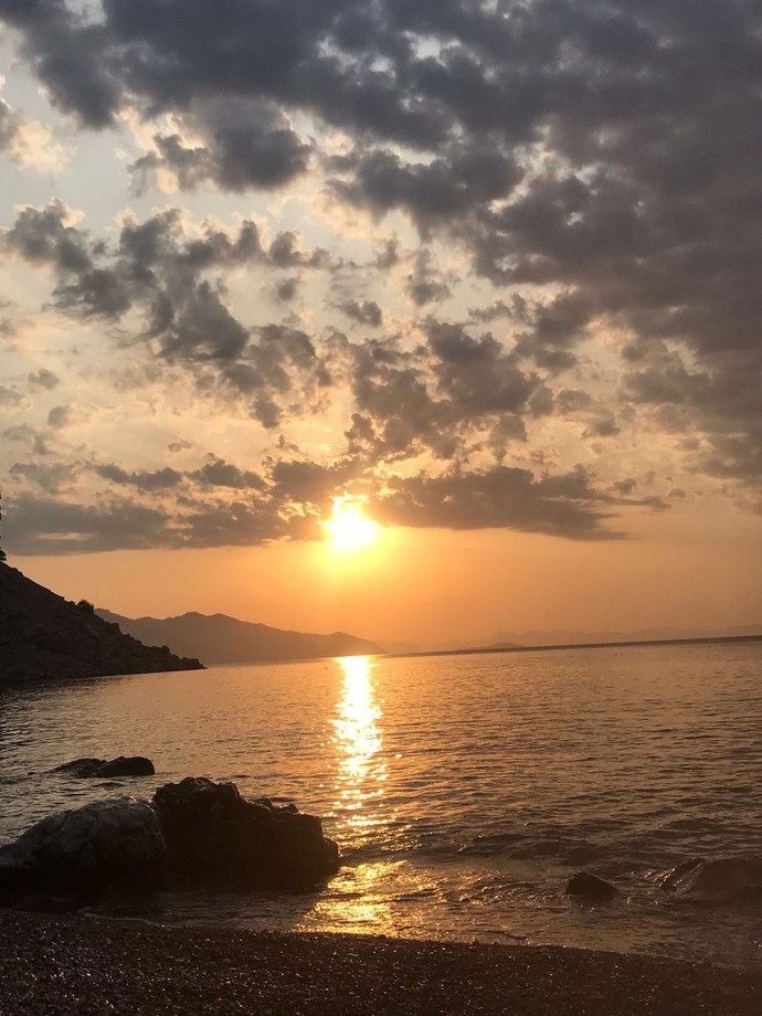 Şu an bir iş kurmak isteseniz ne iş yapardiniz?