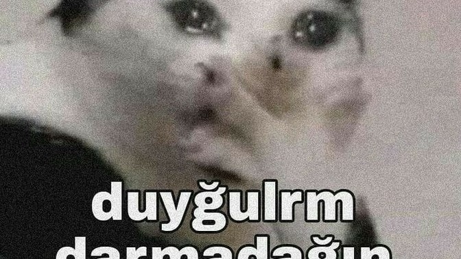 Derde düştüğünüz zaman neye sığınırsınız?
