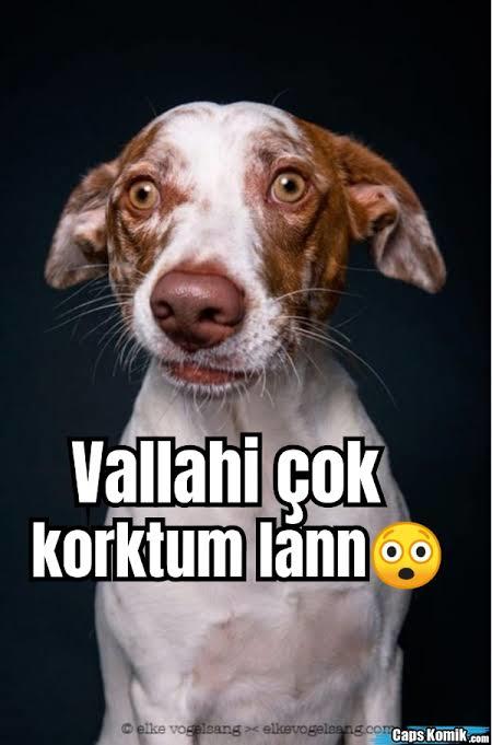 Böyle erkeklerin gerçek amacı ne?