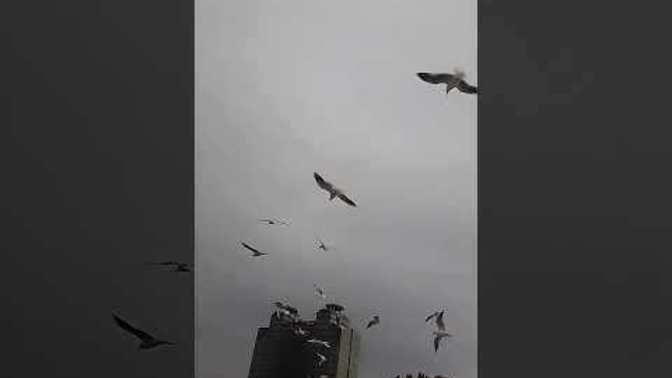Sevdiğin şarkı sözü nedir?