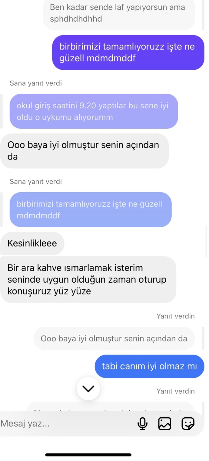 Bu mesajları yazan insan 2 gündür neden hiç yazmaz amacı ne olabilir?