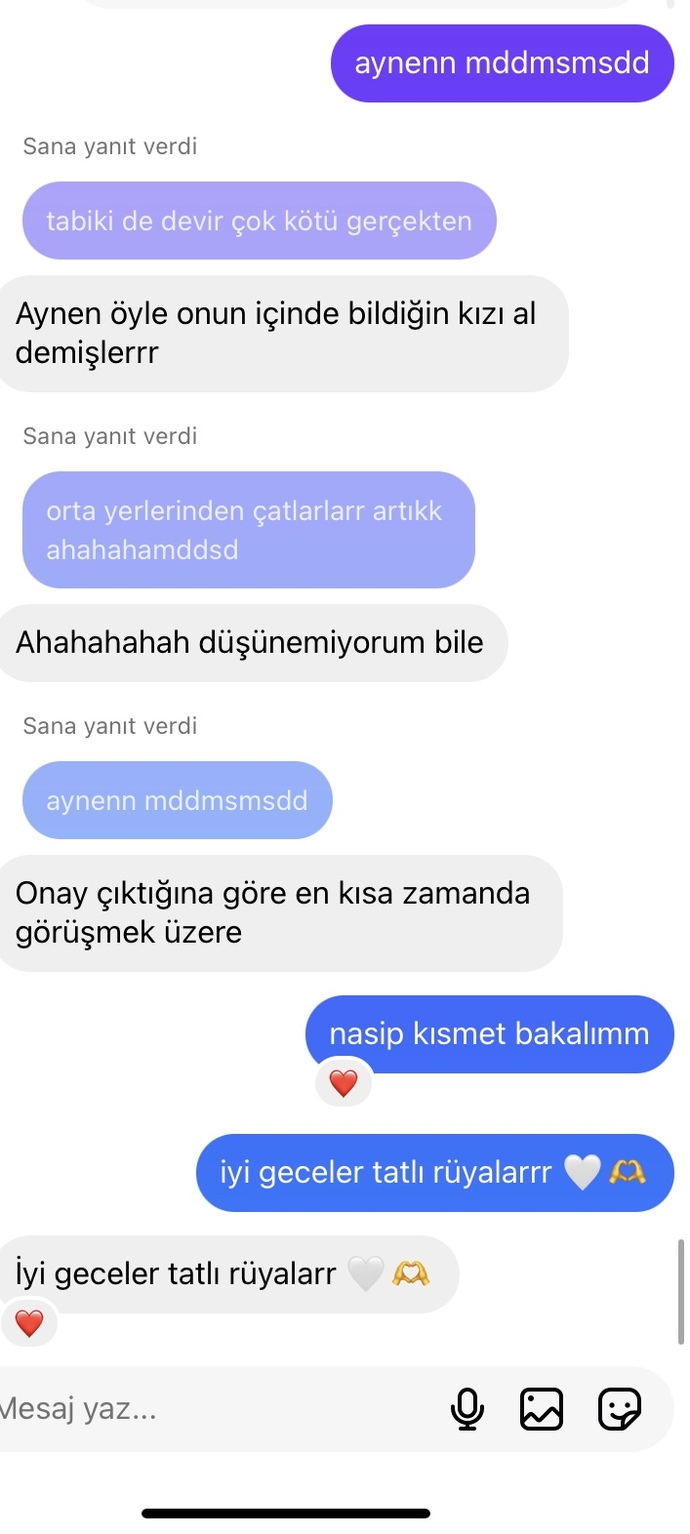 Bu mesajları yazan insan 2 gündür neden hiç yazmaz amacı ne olabilir?