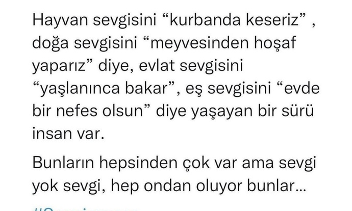 Birseyi severken ondan Bi beklenti içinde  olur musunuz?