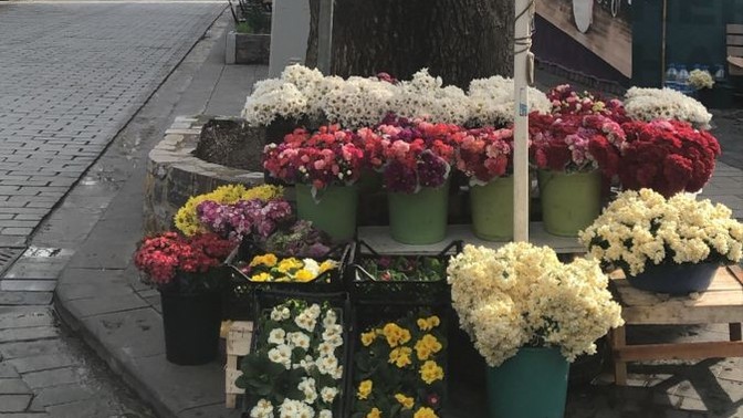 Doğru olan şeyler sorgulanır mı?