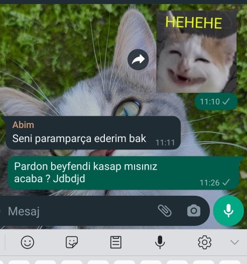 Hiç tehdit edildiniz mi ya da siz birisini tehdit ettiniz mi?