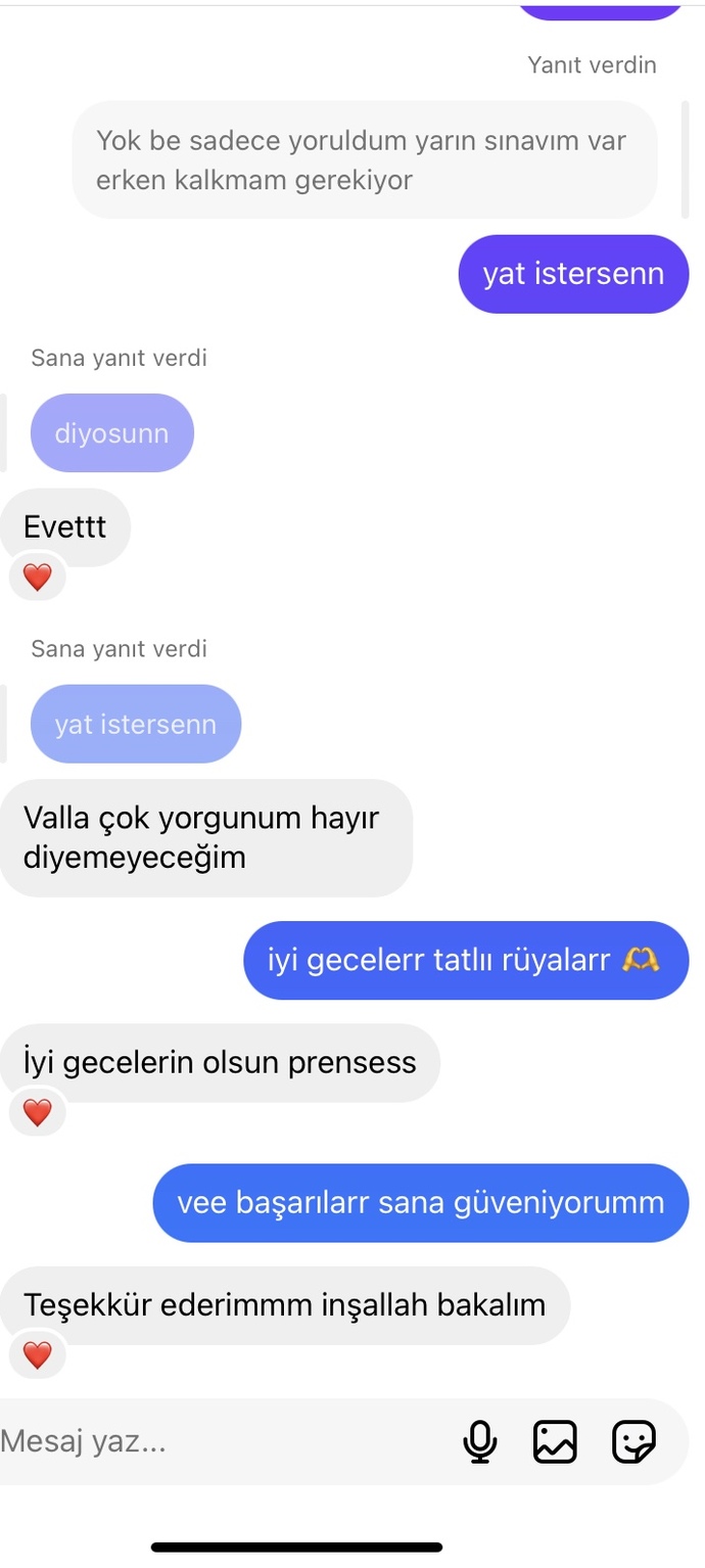 Kendisi 2 gündür yazmıyordu ben dün mesaj attım böyle cevaplar yazdı sizce seviyor mu gerçekten, ne anladınız?