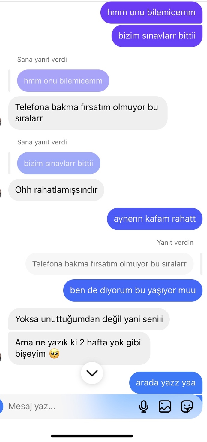 Kendisi 2 gündür yazmıyordu ben dün mesaj attım böyle cevaplar yazdı sizce seviyor mu gerçekten, ne anladınız?