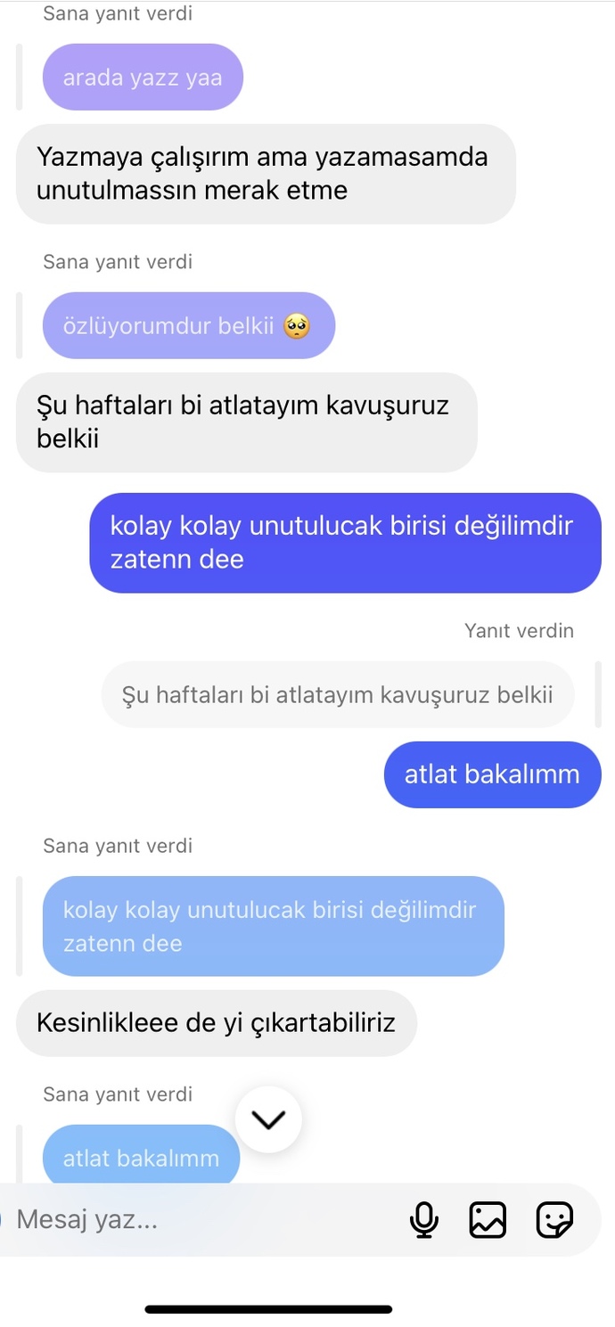 Kendisi 2 gündür yazmıyordu ben dün mesaj attım böyle cevaplar yazdı sizce seviyor mu gerçekten, ne anladınız?