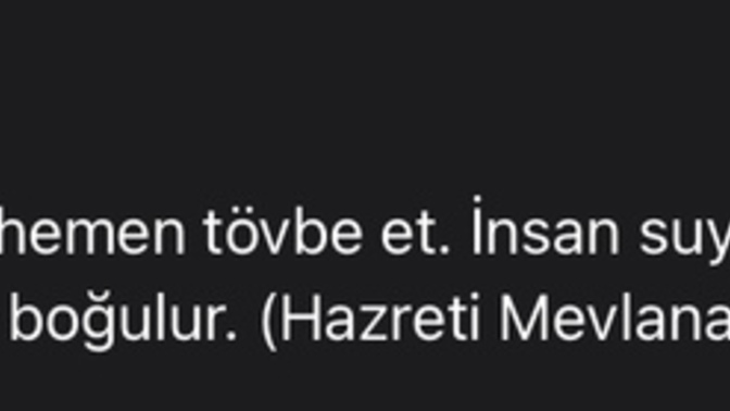 İnsan suya düştüğü için değil sudan çıkamadığı için boğulur cümlesinin tamamına bakmak için resimi açın?