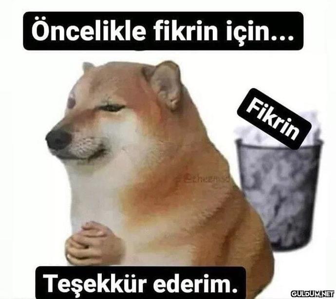 Ne iş var ne aşk nolcak bu halimiz ya?