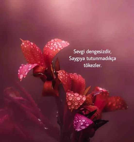 Herkezmi güzel sever yoksa sevmek içinmi sever insan?