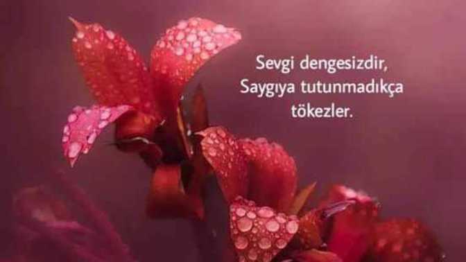 Herkezmi güzel sever yoksa sevmek içinmi sever insan?