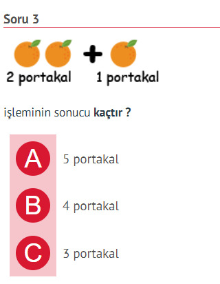 Bir soru sorun?