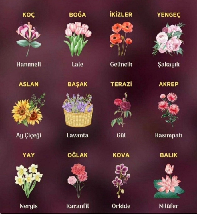 Çokta severim gülü...🌹😍