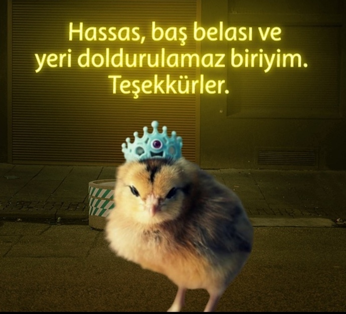 Nasıl birisiniz 🤔?