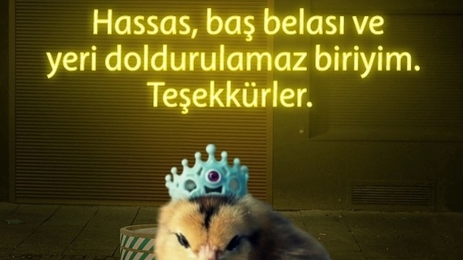 Nasıl birisiniz 🤔?