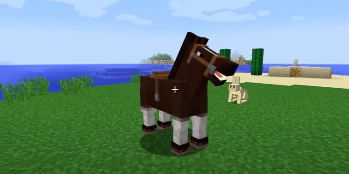 Arkadaşlar minecraftaki atın ismi ne olsun?