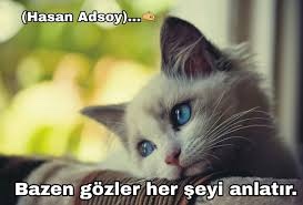 Birinin size aşık olduğunu nasıl anlarsınız?