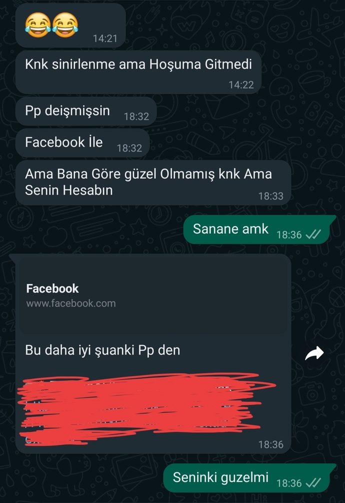 Arkadaşım Herşeye Karışıyor?