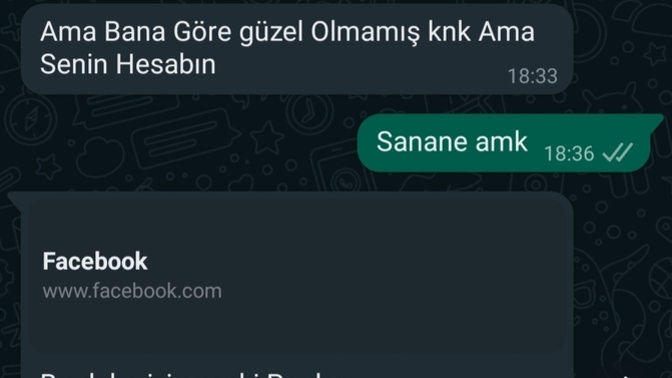 Arkadaşım Herşeye Karışıyor?