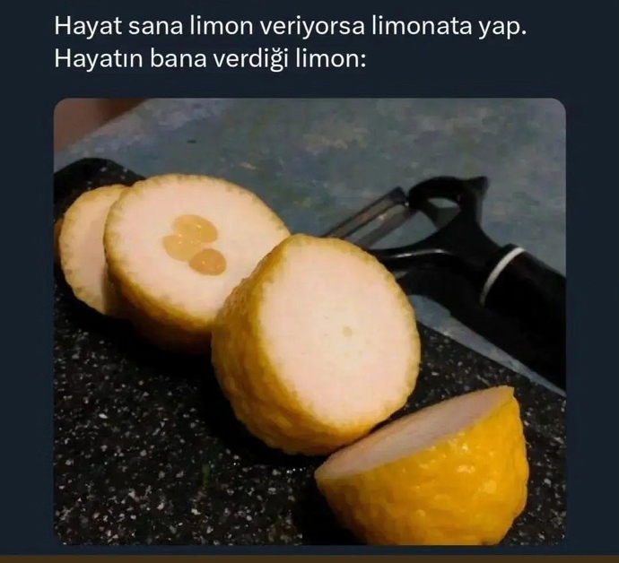 Hayat size her istediğinizi verdi mi?