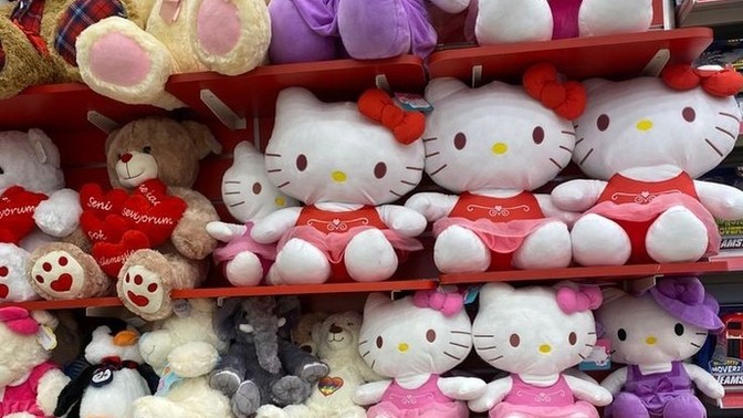 Hangi peluş oyuncakları almak isterdiniz?