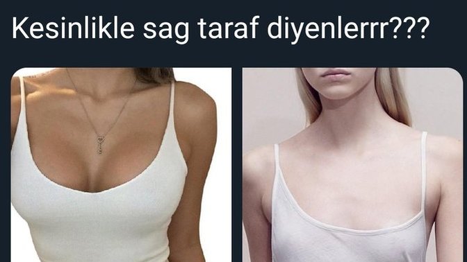 Büyük göğüs mü yoksa küçük göğüs mü?