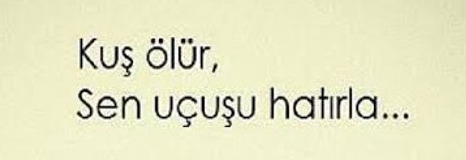 Sevgiliyle ilişki sırasında sönen erkek nedendir?